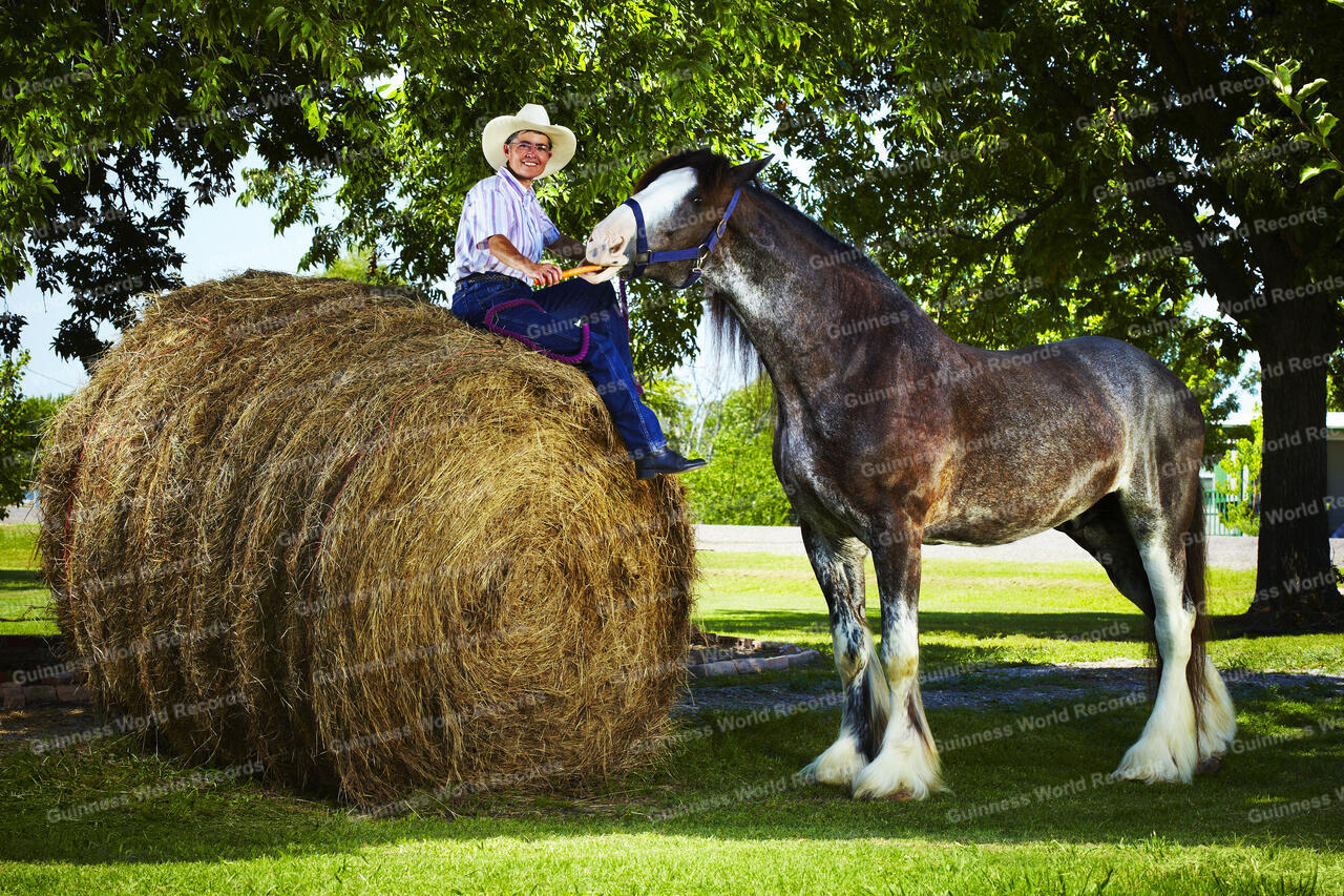 Guinness World Records | Content Hub - Asset 65105427